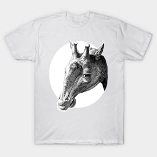 Giraffe Head T-Shirt